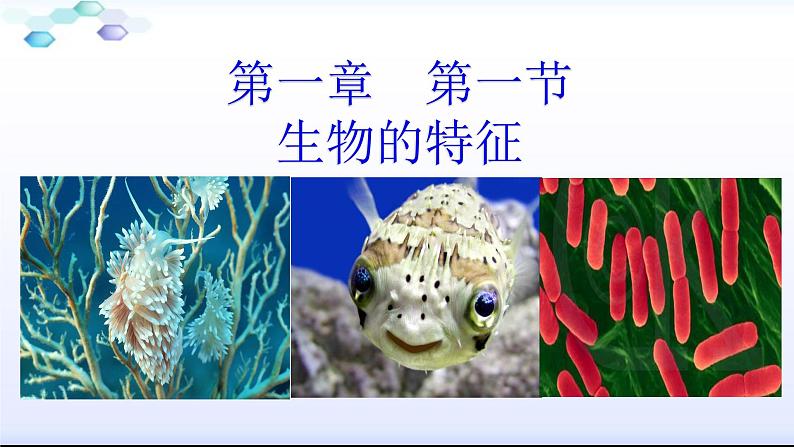 人教版七年级生物上册  1.1.1生物的特征（34张PPT）第1页