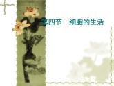 人教版七年级生物上册第2单元第1章第4节细胞的生活 (1) 课件