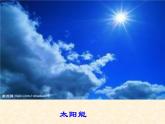 人教版七年级生物上册第2单元第1章第4节细胞的生活 (1) 课件