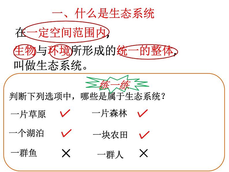 人教版七年级上册1.2.2生物与环境组成生态系统课件（26张ppt）第8页