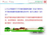 人教版八年级上册生物课件第四章 细菌真菌的复习重点整理