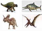 人教版生物八年级上册5.1.5两栖动物与爬行动物第二课时 课件