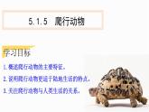 人教版生物八年级上册5.1.5两栖动物与爬行动物第二课时 课件