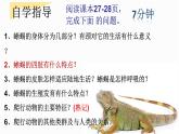 人教版生物八年级上册5.1.5两栖动物与爬行动物第二课时 课件