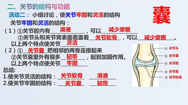 山东省青岛市青岛大学附属中学2020-2021学年第一学期八年级生物上册5.2.1动物的运动  课件（18张PPT）07