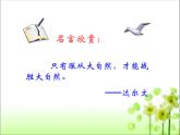 人教版八年级生物 上册 第六单元 第二章 认识生物的多样性 课件（共70张PPT）