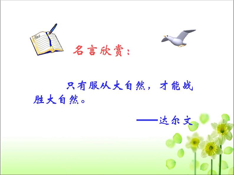 人教版八年级生物 上册 第六单元 第二章 认识生物的多样性 课件（共70张PPT）第1页