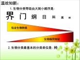 人教版八年级生物 上册 第六单元 第二章 认识生物的多样性 课件（共70张PPT）