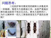 人教版八年级生物 上册 第六单元 第二章 认识生物的多样性 课件（共70张PPT）