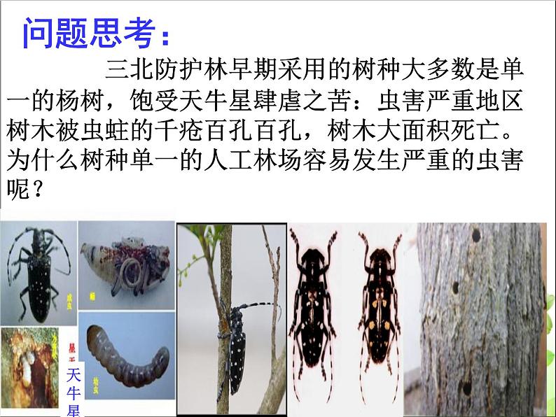 人教版八年级生物 上册 第六单元 第二章 认识生物的多样性 课件（共70张PPT）第3页