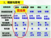 人教版生物八年级上册生物课件 5.1.3：节肢动物
