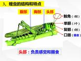 人教版生物八年级上册生物课件 5.1.3：节肢动物