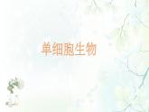 第二单元 2.4单细胞生物教学课件
