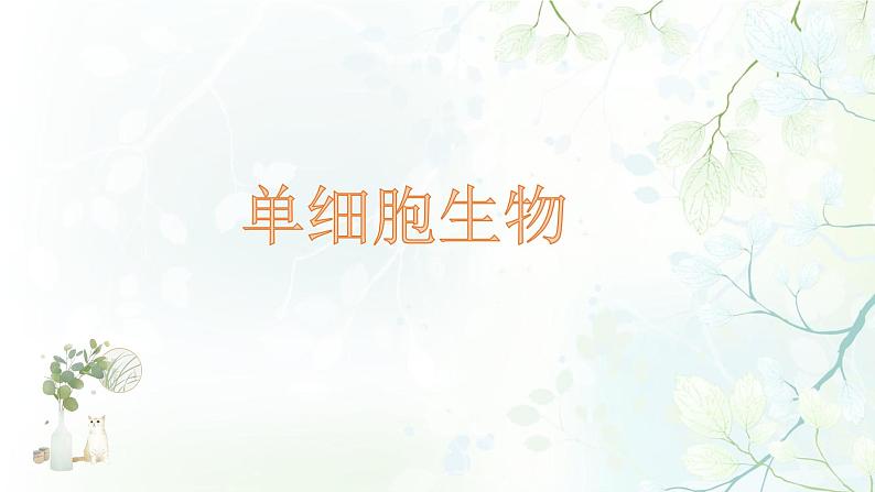 第二单元 2.4单细胞生物教学课件第1页