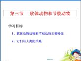 人教版 八年级上册 生物 第五单元 第一章 第三节 《软体动物和节肢动物》 课件