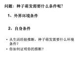 人教版 七年级上册 生物 第三单元 第二章 第一节 种子的萌发课件