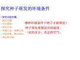 人教版 七年级上册 生物 第三单元 第二章 第一节 种子的萌发课件
