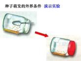 人教版 七年级上册 生物 第三单元 第二章 第一节 种子的萌发课件