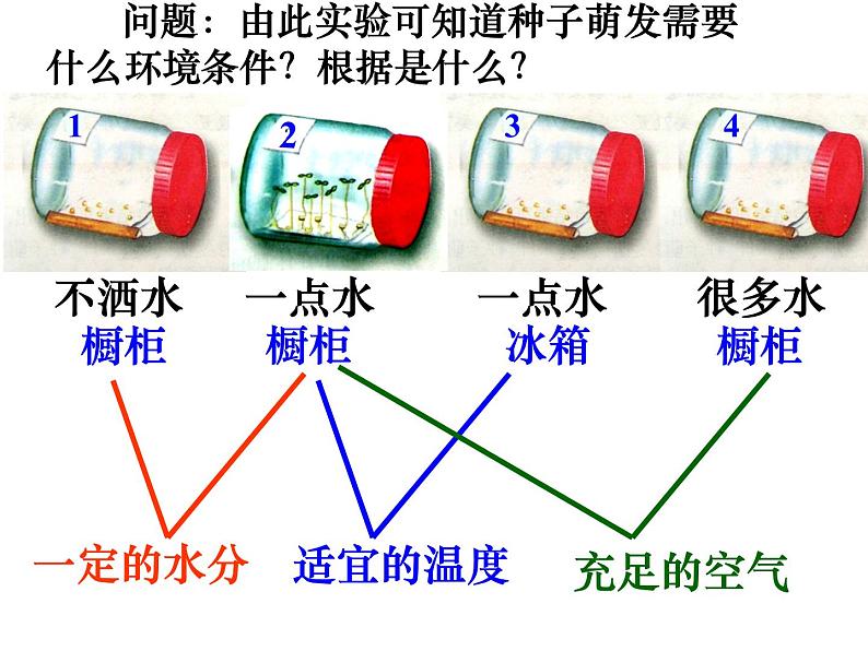 人教版 七年级上册 生物 第三单元 第二章 第一节 种子的萌发课件07