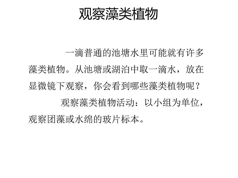 人教版生物七年级上册3.1.1《 藻类、苔藓和蕨类植物》课件04