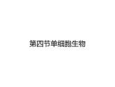 人教版生物七年级上册2.2.4《单细胞生物》课件