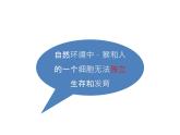 人教版生物七年级上册2.2.4《单细胞生物》课件