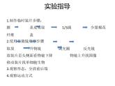 人教版生物七年级上册2.2.4《单细胞生物》课件