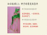 第一节 种子的萌发 课件