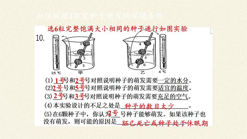 第一节 种子的萌发 课件07