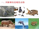 新人教版8年级上册第一章动物的主要类群《哺乳动物》课件 (2)
