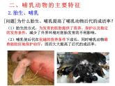新人教版8年级上册第一章动物的主要类群《哺乳动物》课件 (2)