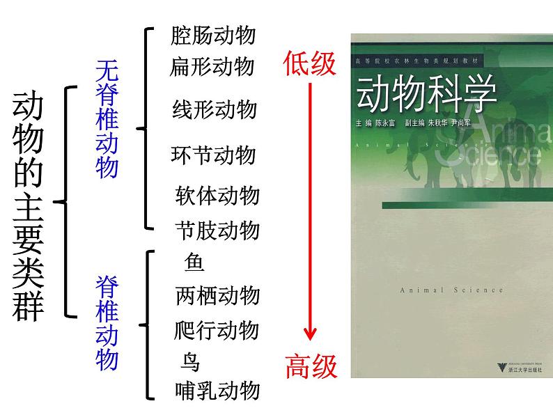 新人教版8年级上册第一章动物的主要类群腔肠动物和扁形动物(共42张PPT)01