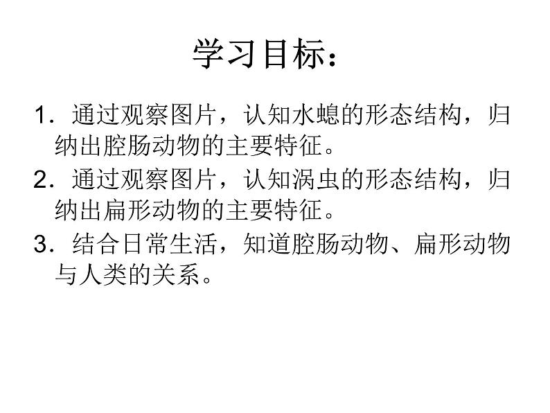 新人教版8年级上册第一章动物的主要类群腔肠动物和扁形动物(共42张PPT)03