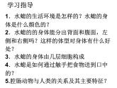 新人教版八年级生物上册《第一章-第一节-腔肠动物和扁形动物》课件