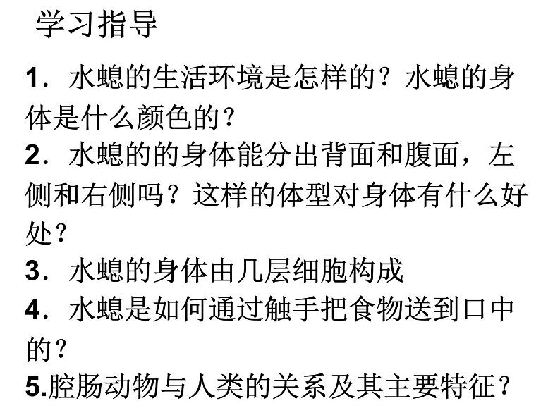 新人教版八年级生物上册《第一章-第一节-腔肠动物和扁形动物》课件05