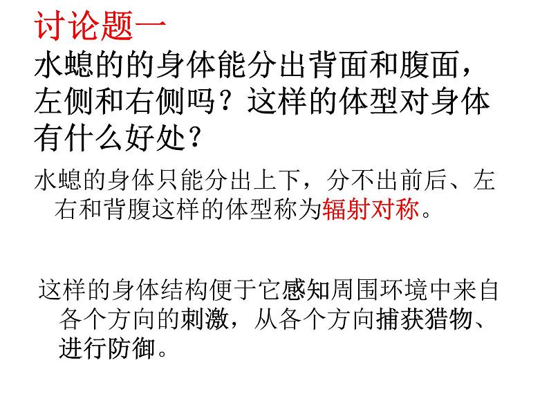 新人教版八年级生物上册《第一章-第一节-腔肠动物和扁形动物》课件08