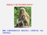 新人教版8年级上册第一章动物的主要类群《哺乳动物》课件