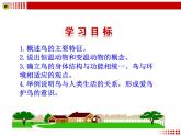 新人教版8年级上册第五单元第一章第六节——鸟 课件