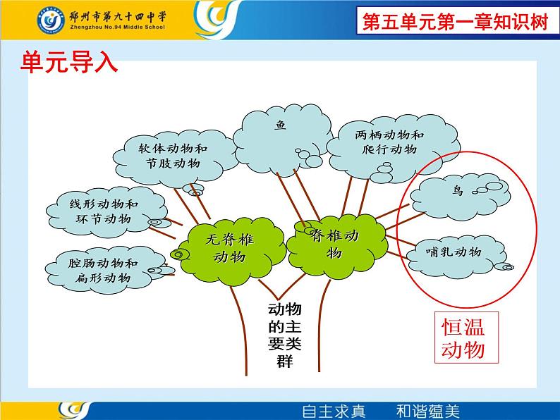 新人教版8年级上册第一章动物的主要类群两栖动物和爬行动物 课件02