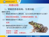 新人教版8年级上册第一章动物的主要类群两栖动物和爬行动物 课件