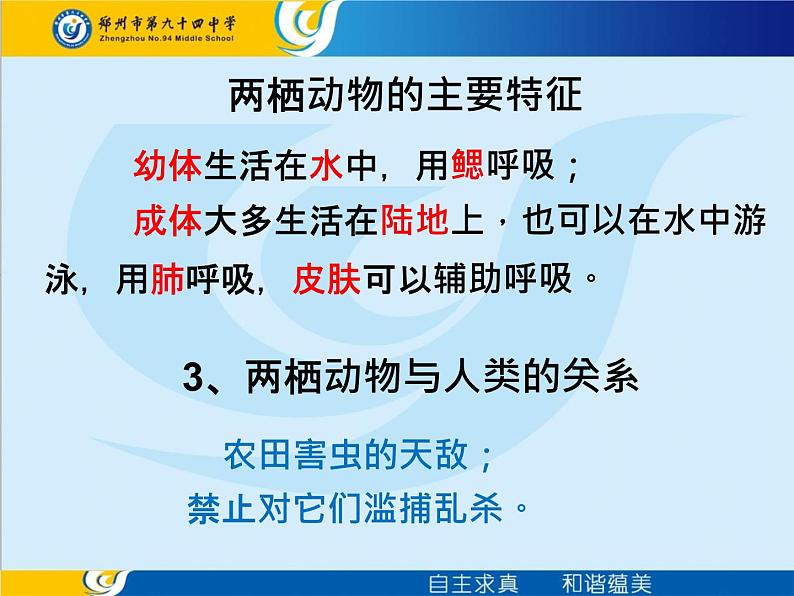 新人教版8年级上册第一章动物的主要类群两栖动物和爬行动物 课件06