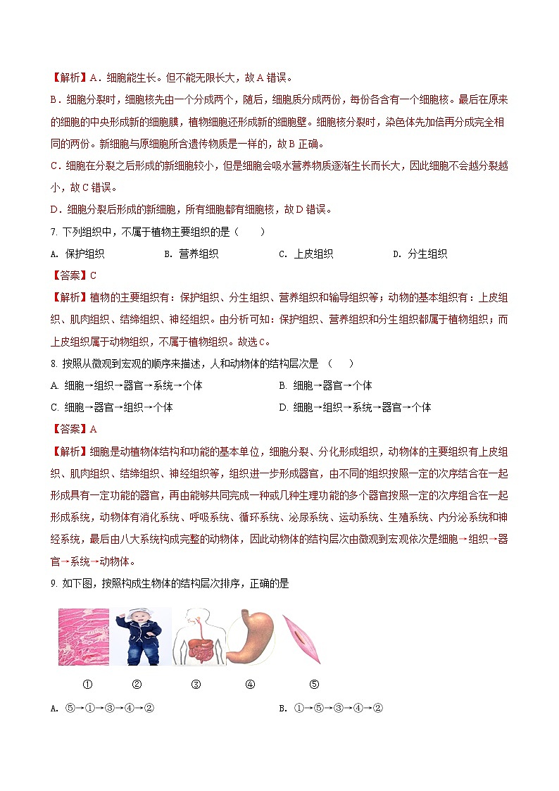 第二单元 细胞怎样构成生物体-2020-2021学年七年级生物上学期单元复习（人教版） 试卷03