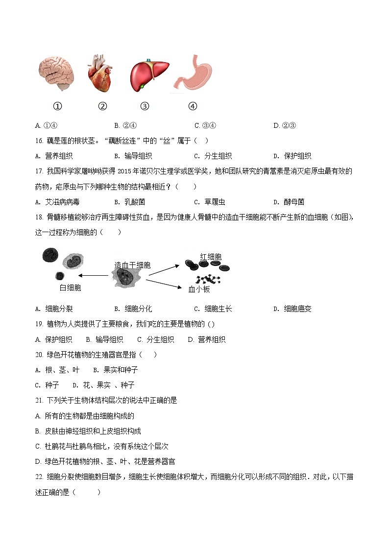 第二单元 细胞怎样构成生物体-2020-2021学年七年级生物上学期单元复习（人教版） 试卷03