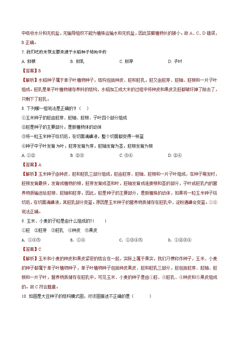 第五单元 生物圈中有哪些绿色植物-2020-2021学年七年级生物上学期单元复习（人教版） 试卷03