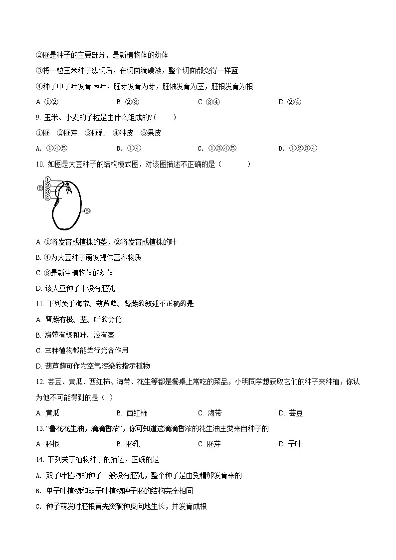 第五单元 生物圈中有哪些绿色植物-2020-2021学年七年级生物上学期单元复习（人教版） 试卷02