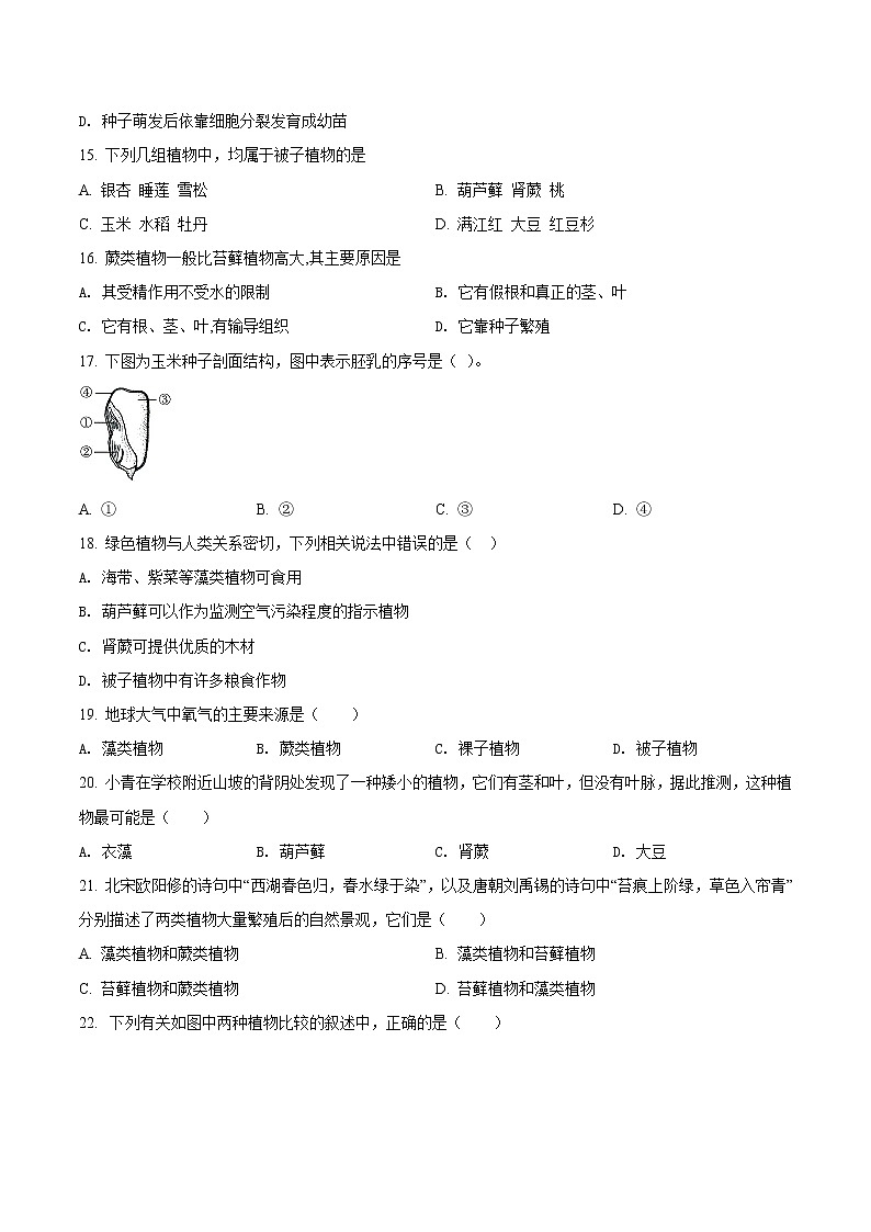 第五单元 生物圈中有哪些绿色植物-2020-2021学年七年级生物上学期单元复习（人教版） 试卷03