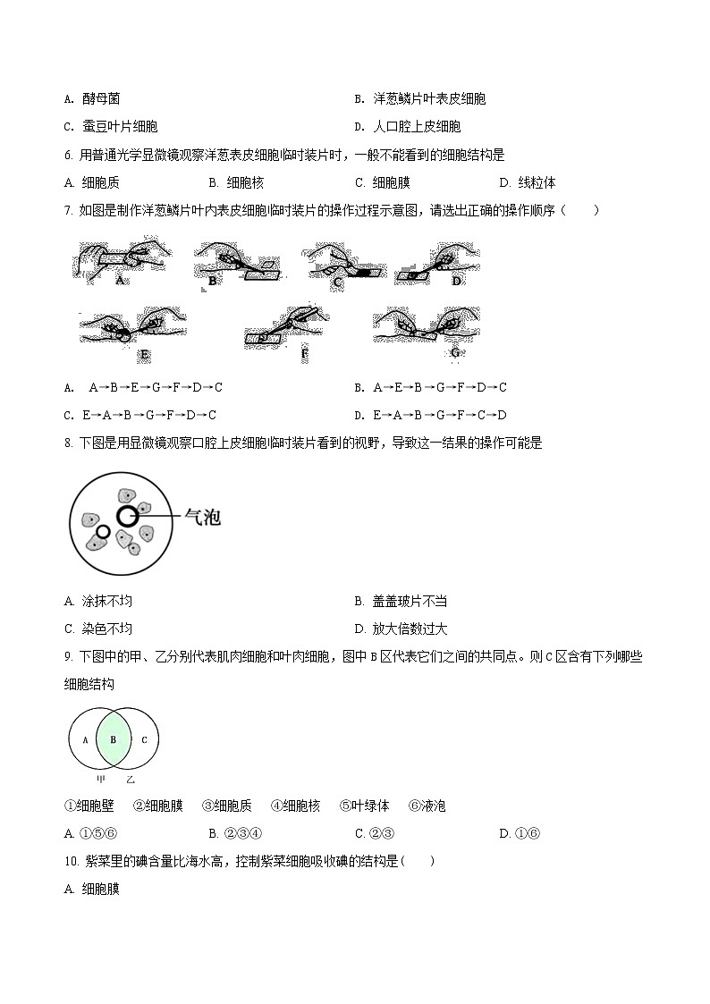 第二单元 细胞是生命活动的基本单位-2020-2021学年七年级生物上学期单元复习 试卷02