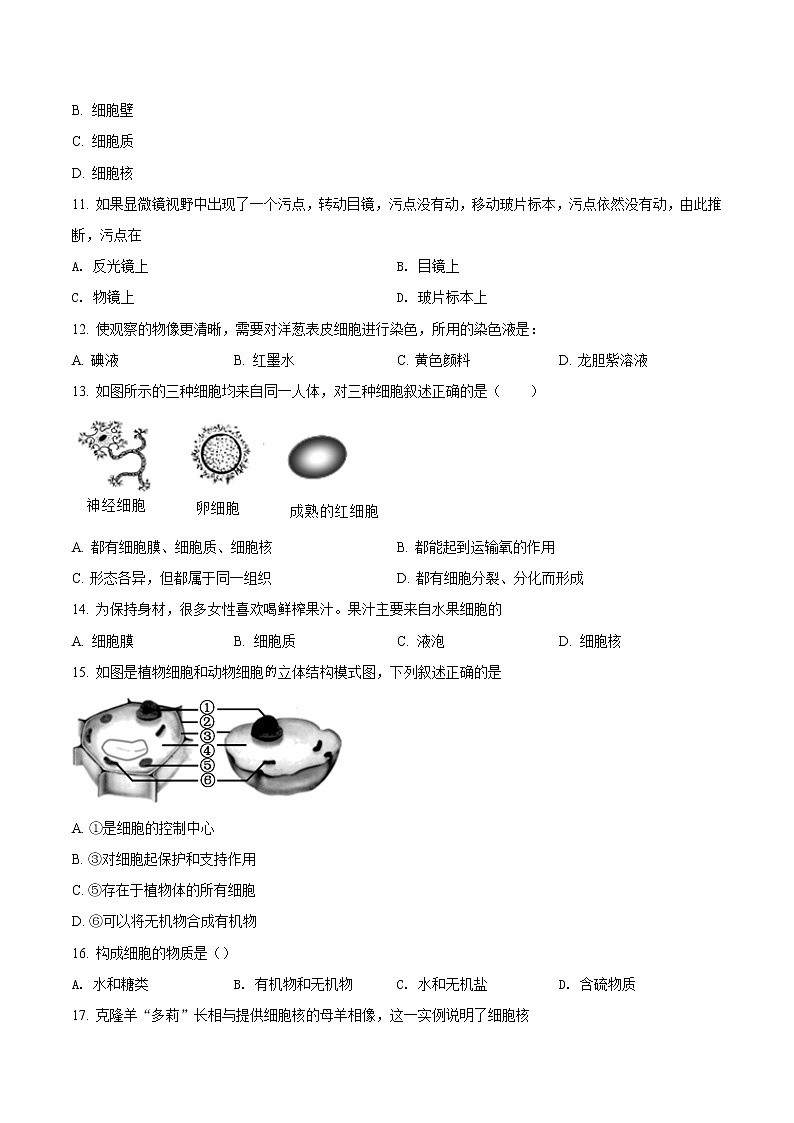 第二单元 细胞是生命活动的基本单位-2020-2021学年七年级生物上学期单元复习 试卷03