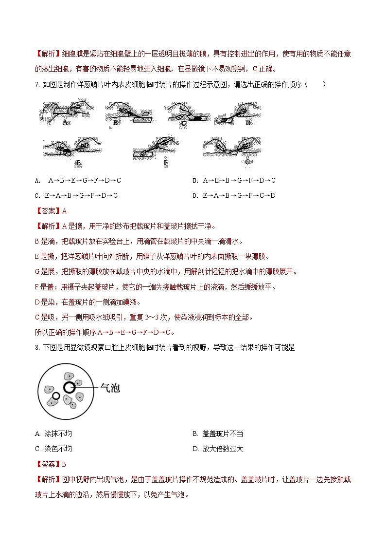 第二单元 细胞是生命活动的基本单位-2020-2021学年七年级生物上学期单元复习 试卷03