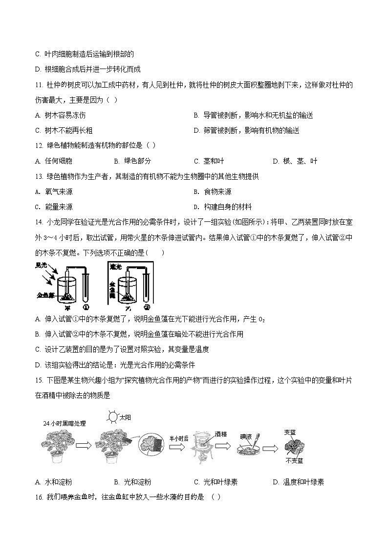 第三单元 绿色植物是生物圈中有机物的制造者-2020-2021学年七年级生物上学期单元复习（人教版） 试卷03